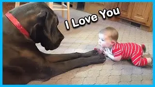 🐶👶 When Your Dogs Become the Sweetest Babysitters 😂 Funny Animals 2025