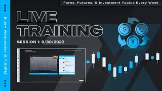 7X Investors: живое обучение торговле на Форексе &mdash; 7X Investors