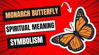Monarch Butterfly Meaning, Symbolism & Spiritual Significance You Need to Know!
