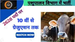 पशुपालन विभाग में भर्ती 2023 || Pashupalan Vibhag me Bharti 2023 || Watch Full Details