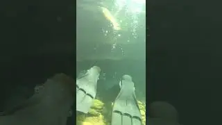 WARNING - Cave Diving is highly addictive 😈