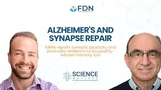 Unlocking Synaptic Plasticity: KIBRA's Role in Fighting Memory Loss & Dementia