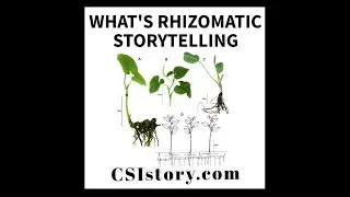 Why Rhizomatic Storytelling works? #shortvideo #business