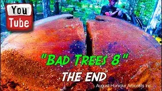 Bad Trees 8 pt 2