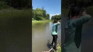 Bow fishing for carp!! #bowfishing #hunting #fishing #carp #kansas #riverfishing