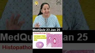 MedQuiz - 23 Jan 25
