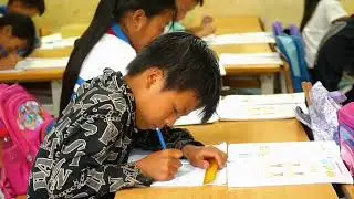 Đội SVTN