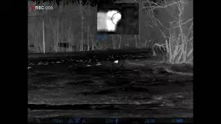 Nutrie- Hunting- Pulsar Trail 2 LRF XP50