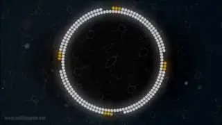 Visualization of multiple displacement amplification of a circular DNA molecule