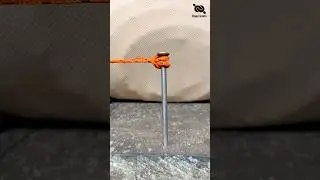 Fast Tying Trick ✅✅ #ropeknots #knot #rope #shortvideo #tutorial #tips #tricks #diy #how #trending