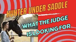 Avoid These Common Mistakes in Hunter UnderSaddle - Tips from a horse show judge