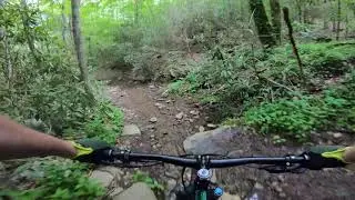 Flat Creek Loop Aska GA.