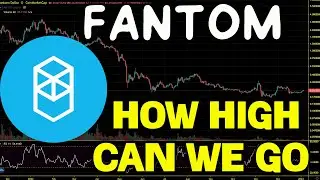 Fantom (FTM) Is The Bottom In ? What Next for FTM in 2023. FTM Price Chart Analysis