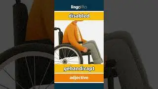 🇬🇧🇳🇱 disabled - gehandicapt : learn English : laten we Engels leren : vocabulary builder