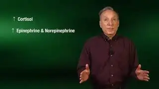 15. Immune System Responses to Exercise