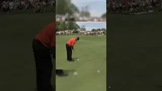 Craziest golf shot of all time!