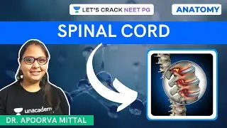 Anatomy | Spinal Cord | NEET PG 2021 | Dr. Apoorva Mittal