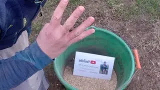 le regarnissage de gazon en 4 &eacute;tapes
