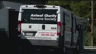 Animal Charity of Ohio overwhelmed, fighting for tougher laws on abuse