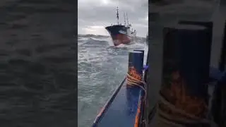 ships water swimming #shorts