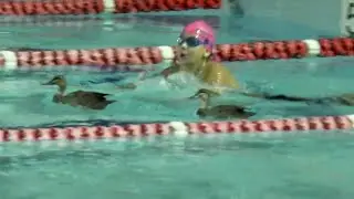 Poolside Stories - Armadale Aquatic Centre 1980-2017