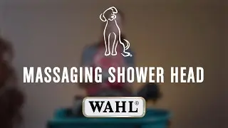 🐶 Doggo Bath time made EASY with the Massaging Shower Head! 🚿