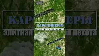 Каролинская пехота - ТАКТИКА шведской элиты