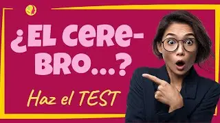 15 Preguntas sobre el Cerebro Que Cambiarán Tu Rutina Diaria 