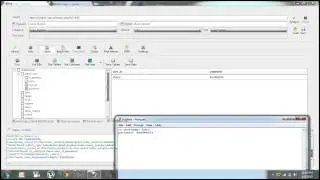 Sql Injection With Havij