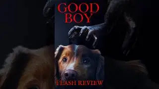 Flash Review Good Boy #flashreview #goodboy #film2025 #recensionefilm #dalle