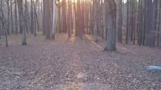 Haunted Cedar Lane Cemetery ~ Central State Hospital ~ Milledgeville, Georgia by Midas Wilder (2012)