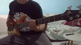 STATUS QUO..in the army now...Bass cover.