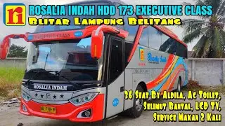 BUS ROSALIA INDAH HDD 173 EXECUTIVE CLASS | ROSIN Team  Blitar Lampung Belitang #massoeparproject