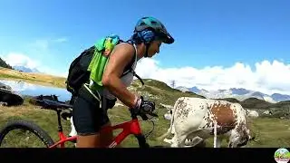 Valle d'Aosta : Tour dei Laghetti di Champlong....spariti... asciutti.