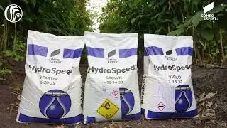 Conoce la nueva línea de solubles HydroSpeed NPK de CompoExpert.