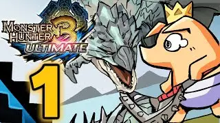 flyann plays Monster Hunter 3 Ultimate | Part 1