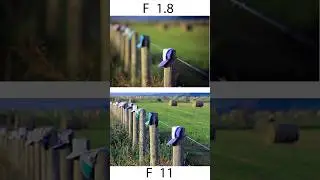 MASTER Your Aperture in 60 Seconds