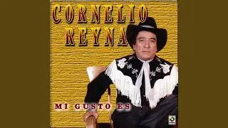 Mi Gusto Es