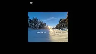 Yohanes 11