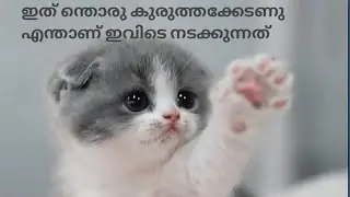 കുട്ടിപട്ടാളത്തിന്റെ കുരുത്തക്കേടുകൾ ഹമ്പോ 😌😉