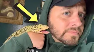 Pet MONITOR LIZARD Nearly BIT MY FACE!