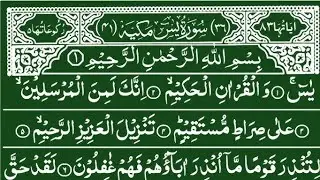 Surah Yaseen  khubsurat tilawat Beautiful Voice best beautiful quran recitation quran translation