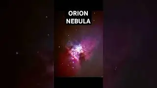 Orion Nebula With iPhone 16 📱& NexStar 8SE Telescope 🔭