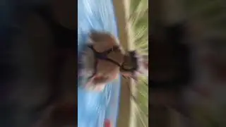 #aaj blue h pani pani🌧️#poolparty🏊#summerstartsnow🧋#swim#masti💃