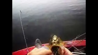 Slow Fall Jig