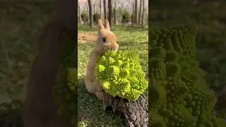Bunny Tries New Veggies! 🐇🥕🥬 rabbit food list #short #rabbit #cuteanimals