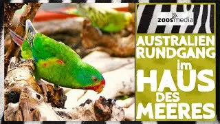 Haus des Meeres: AUSTRALIEN-Erlebniswelt | zoos.media