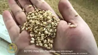 Boost Your Rice Milling Capacity with Our 60T/D Solution #RiceMill #RiceMillingMachine