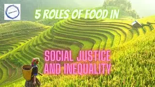 5 roles of food in social justice and inequality