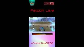 Fall & Wake Up | Always Try | Falcon Live | 133 / 365 (Portrait)